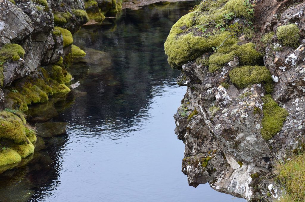 Island Thingvellir Silfra Troll