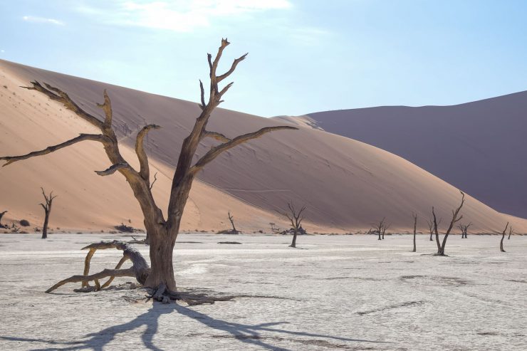 Dead Vlei in Namibia