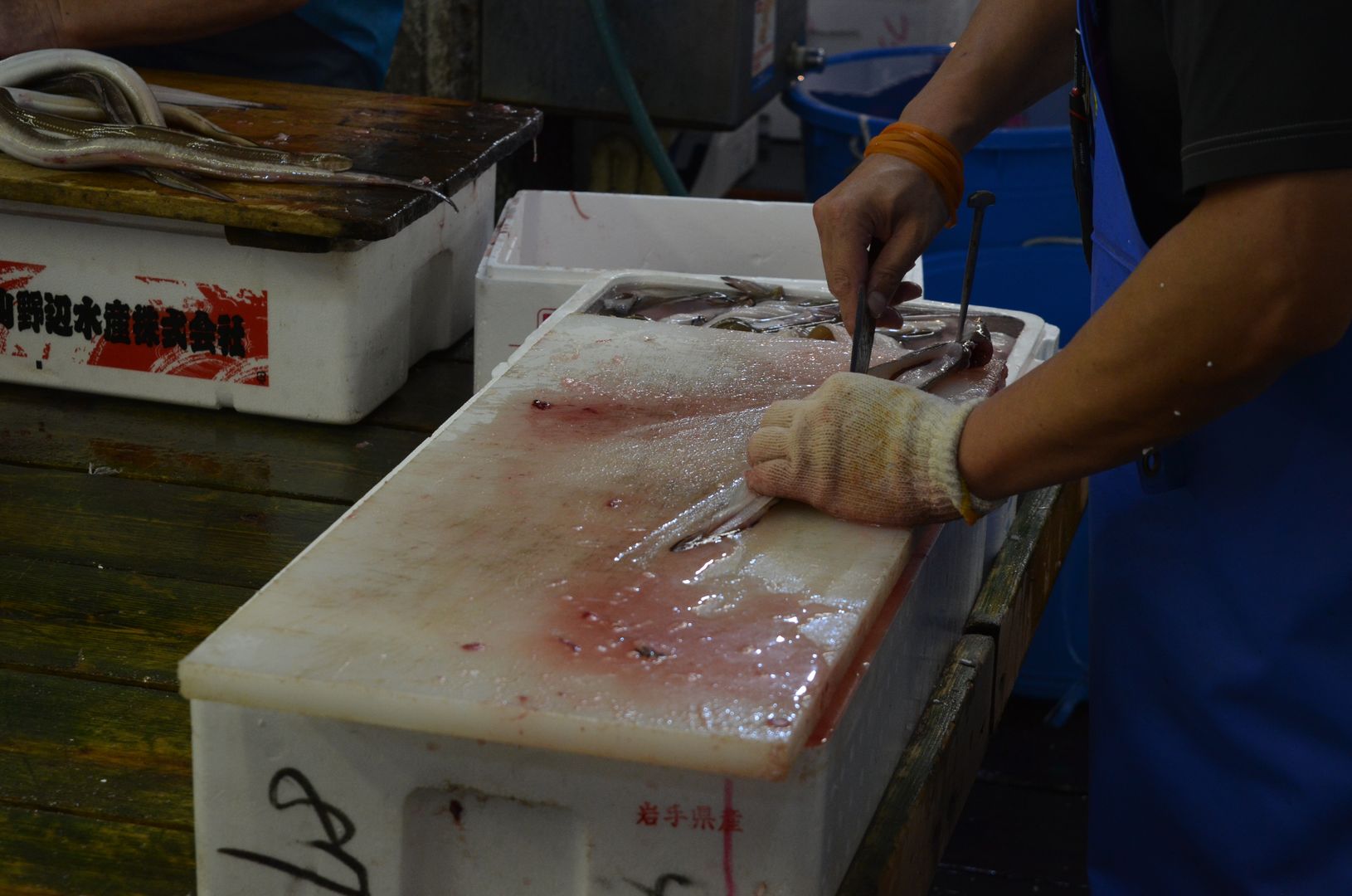Tsukiji Markt, Tokyo