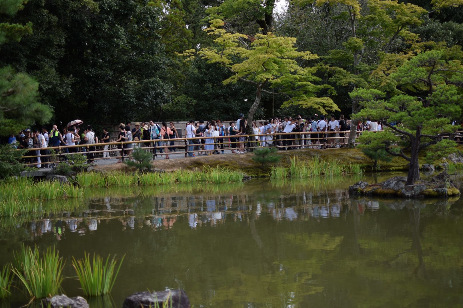 Besucher Goldener Tempel Kyoto