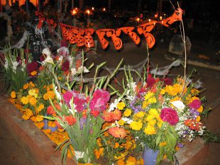 Dia de Muertos – zu Besuch bei den Toten in Mexiko