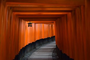 Der Fushimi Inari Taisha Schrein – Kyoto Highlights Teil 2