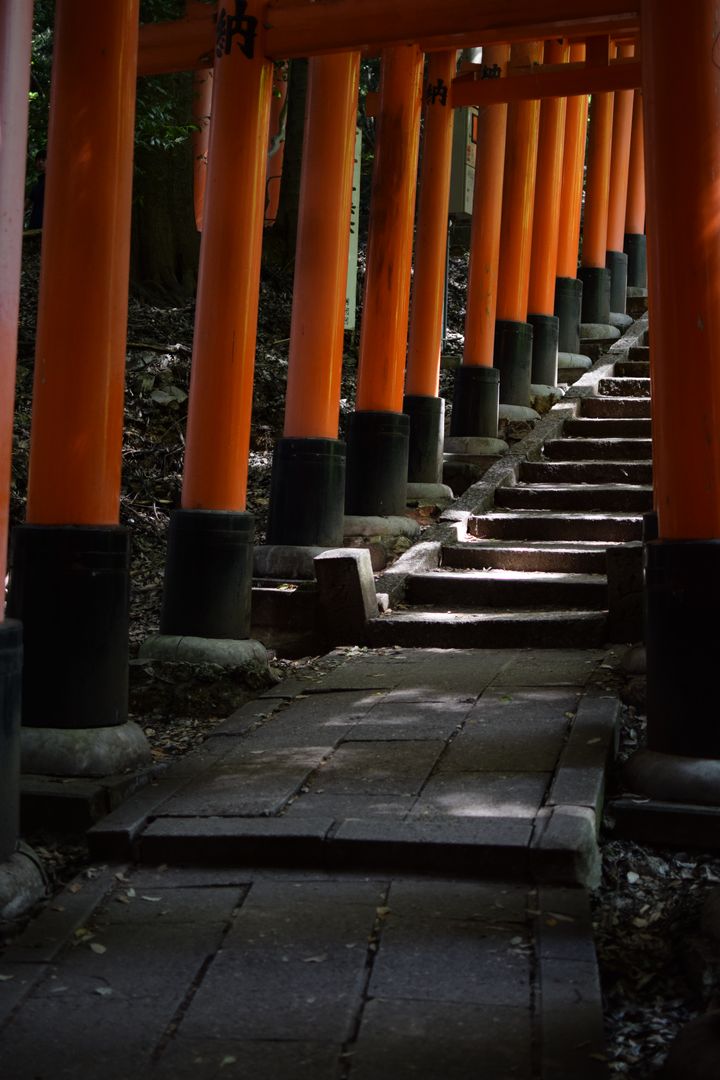 Torii Fushimi Inari Taisha, Kyoto