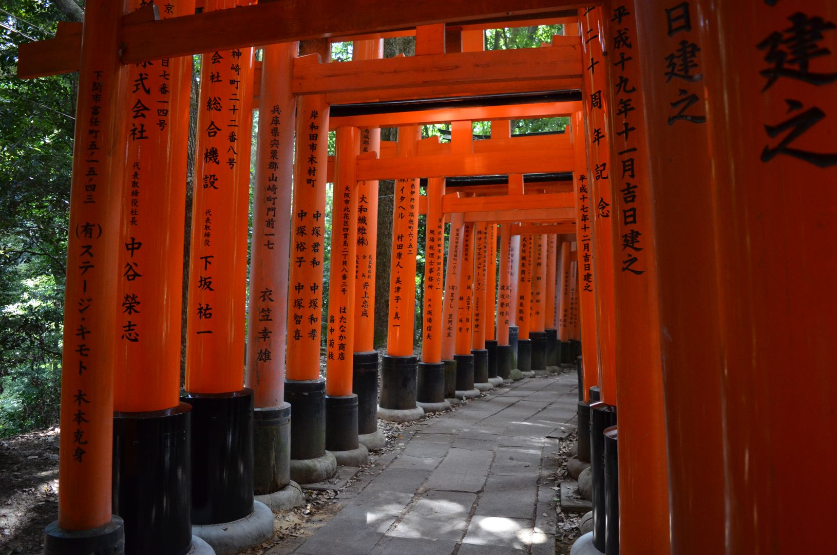 Torii Fushimi Inari Taisha, Kyoto