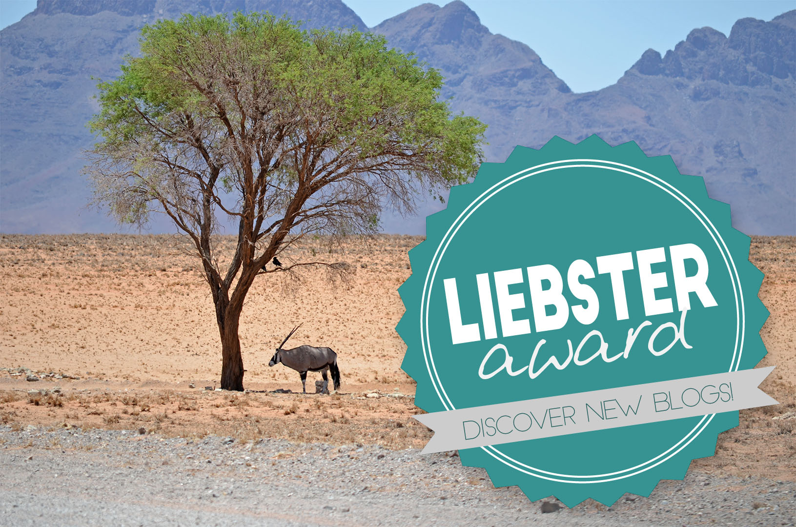 Liebster Award Logo