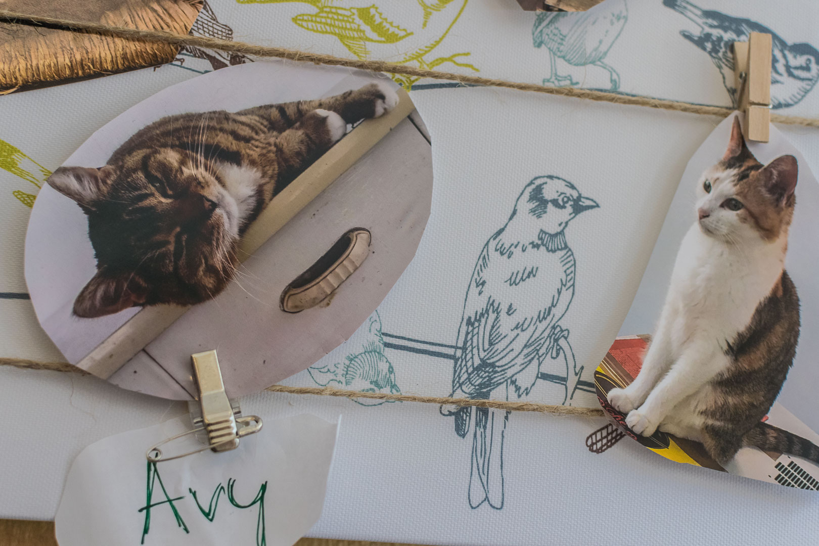 Katze im Katzentempel