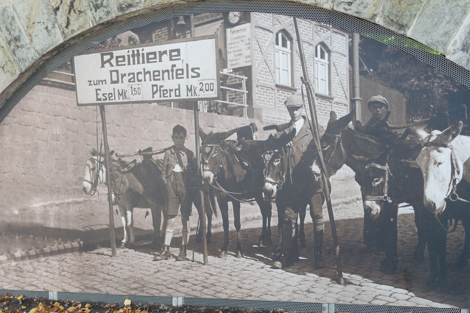 Königswinter Tourismus