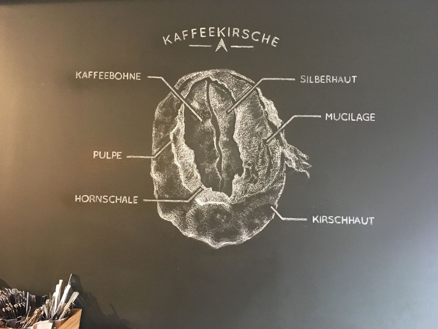 Kaffeekirsche Nord Coast Coffee Roastery