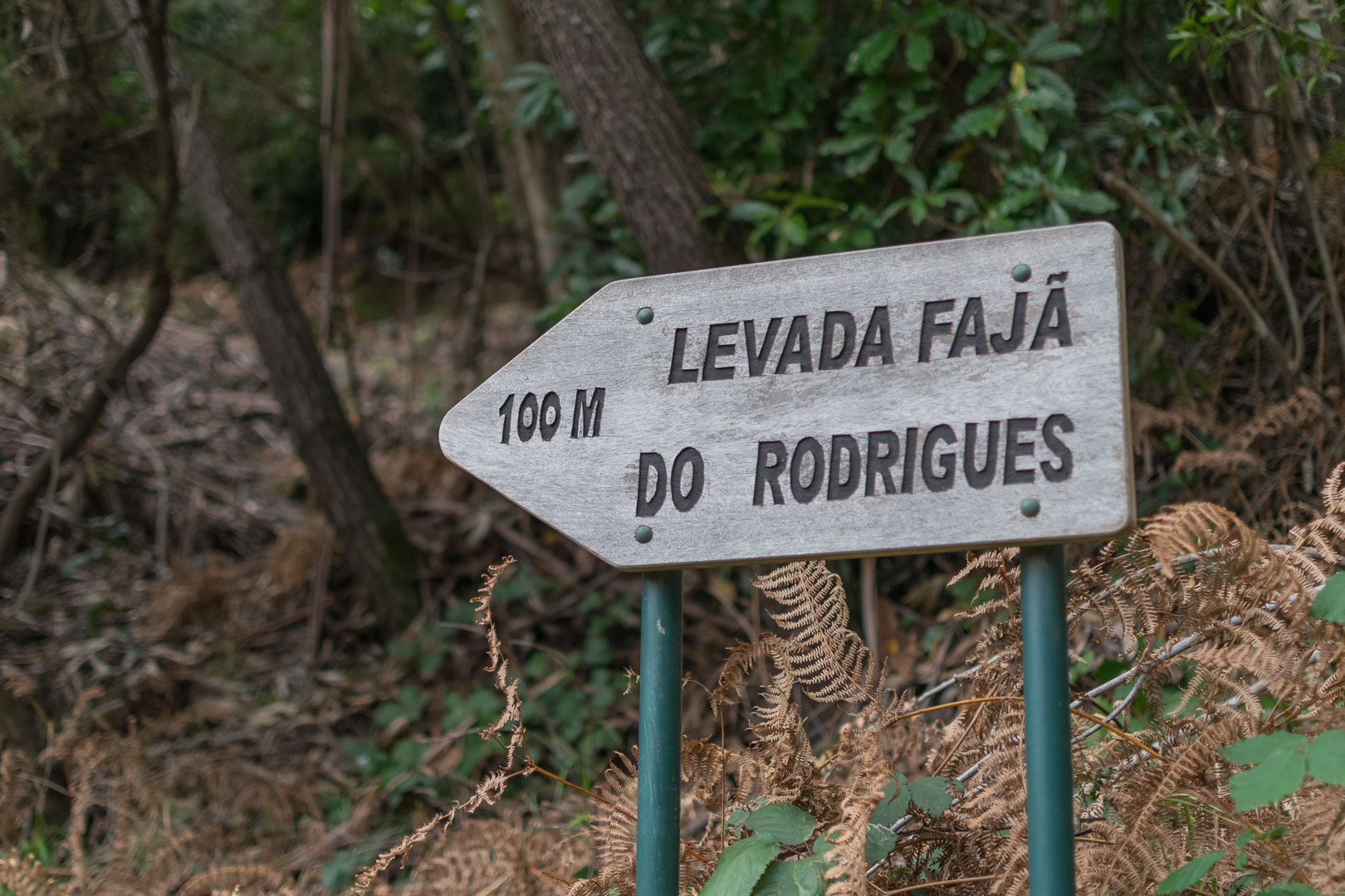 Madeira Wanderung Levada