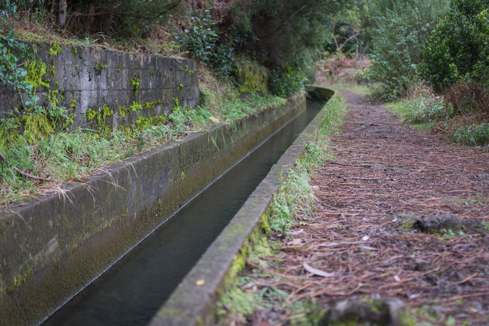 Madeira Levada Wanderung