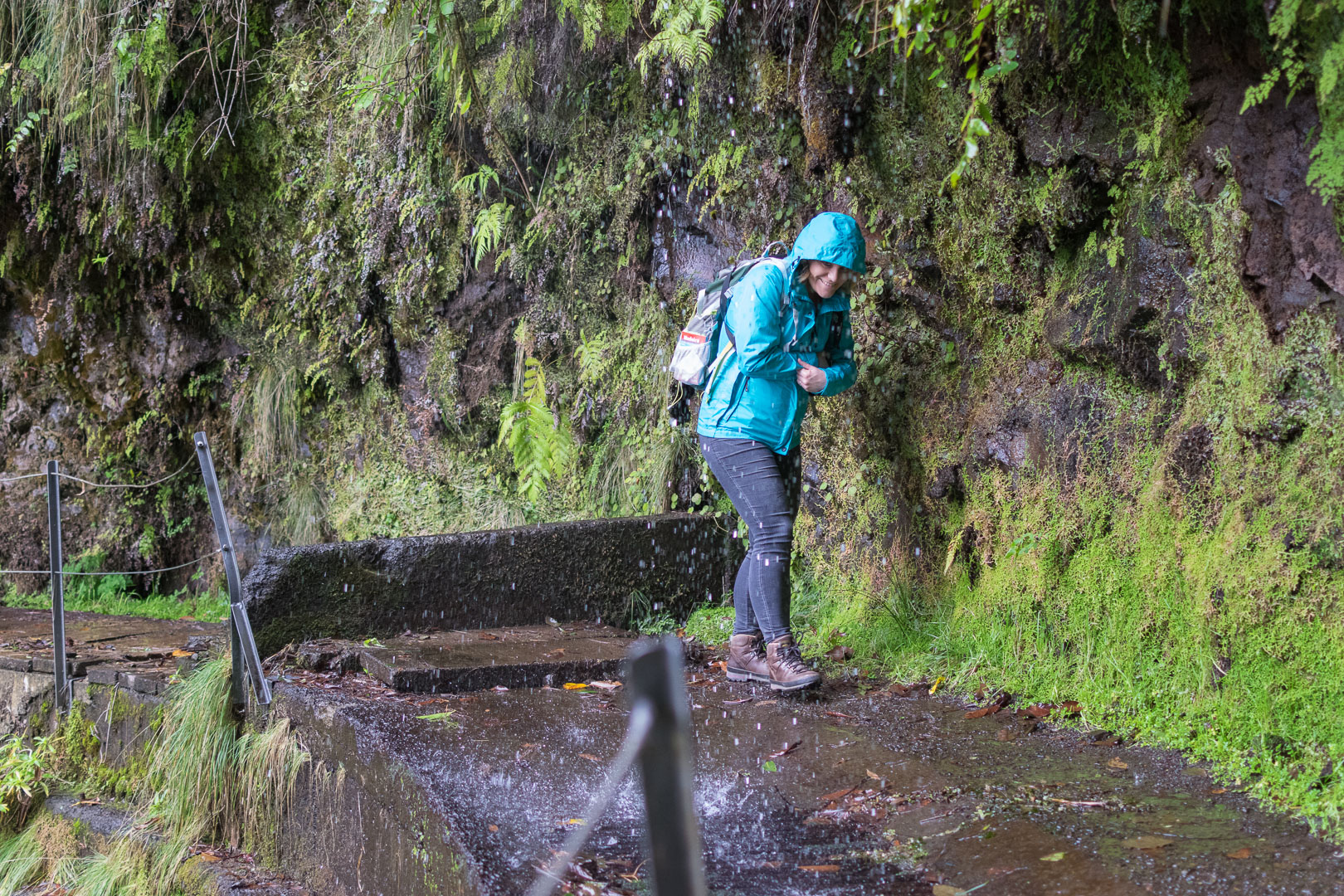 Levada Wanderung Auf Madeira Levada Da Faj Do Rodrigues North Star Chronicles