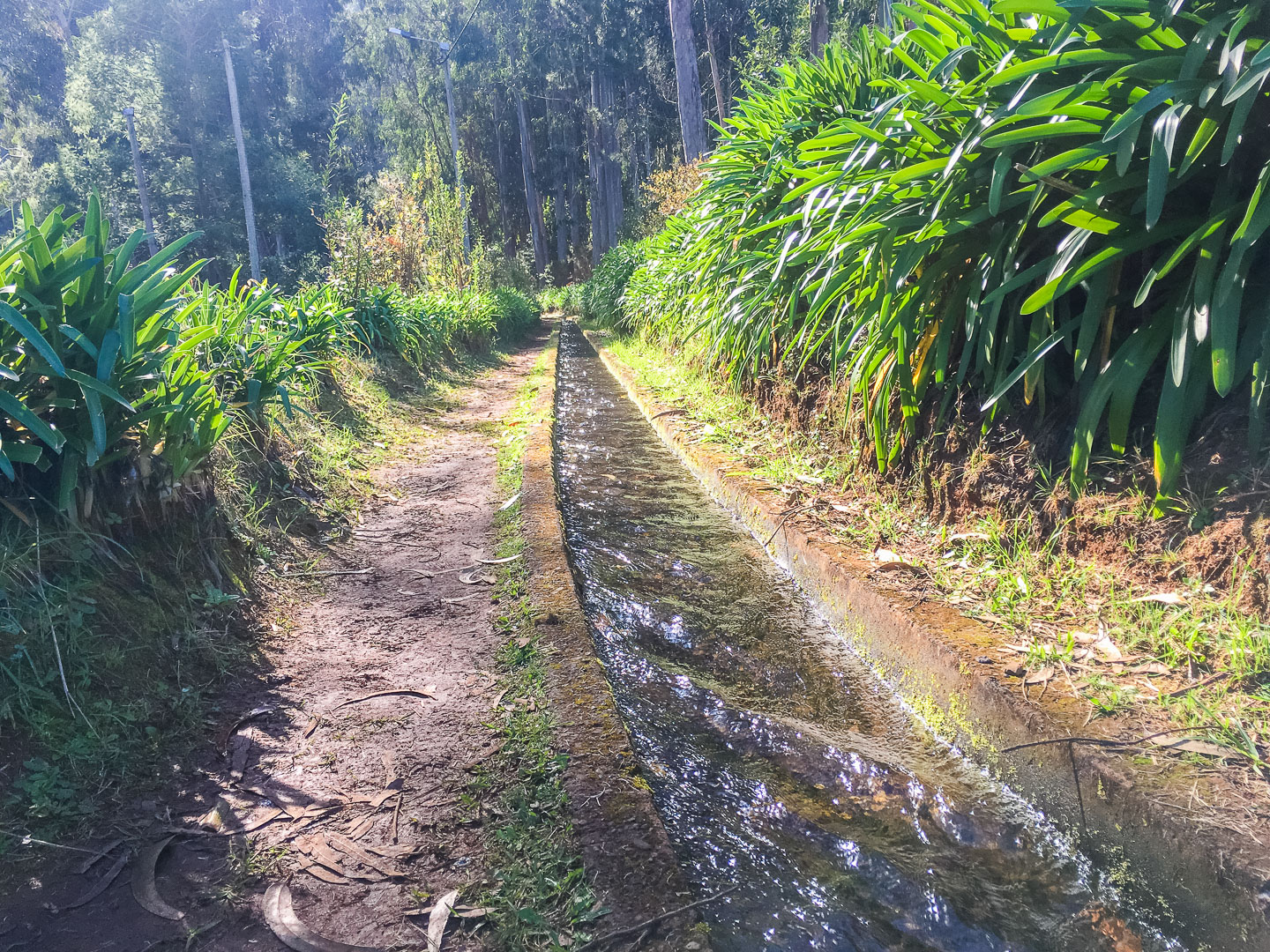 Madeira Levada Wanderung