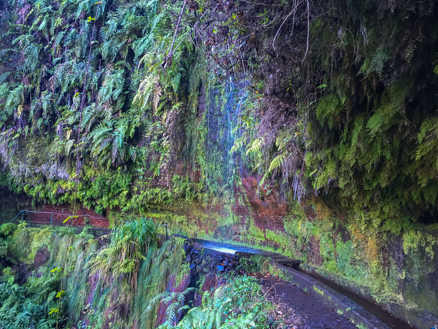 Madeira Levada Wanderung