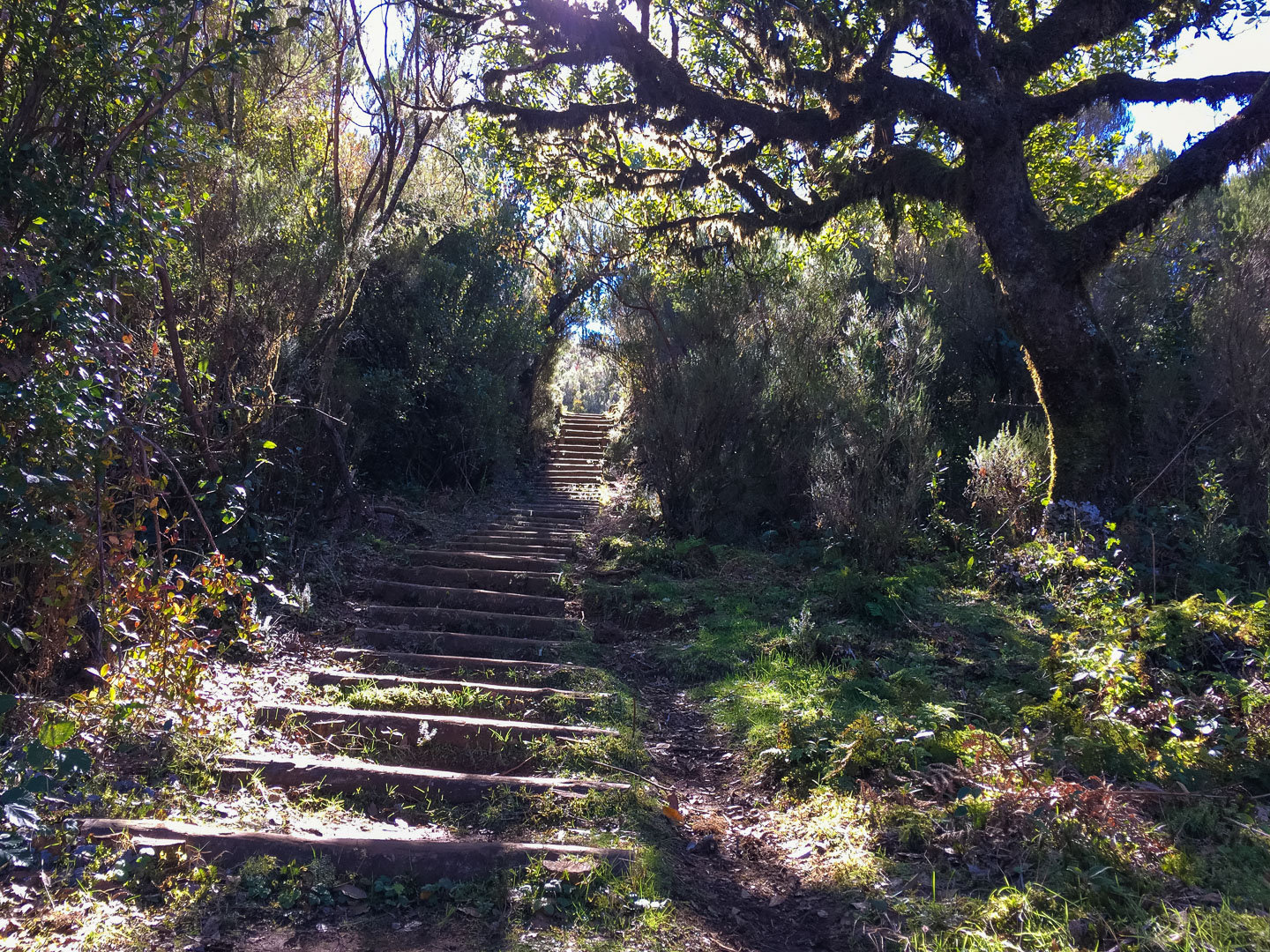 Wandern auf Madeira