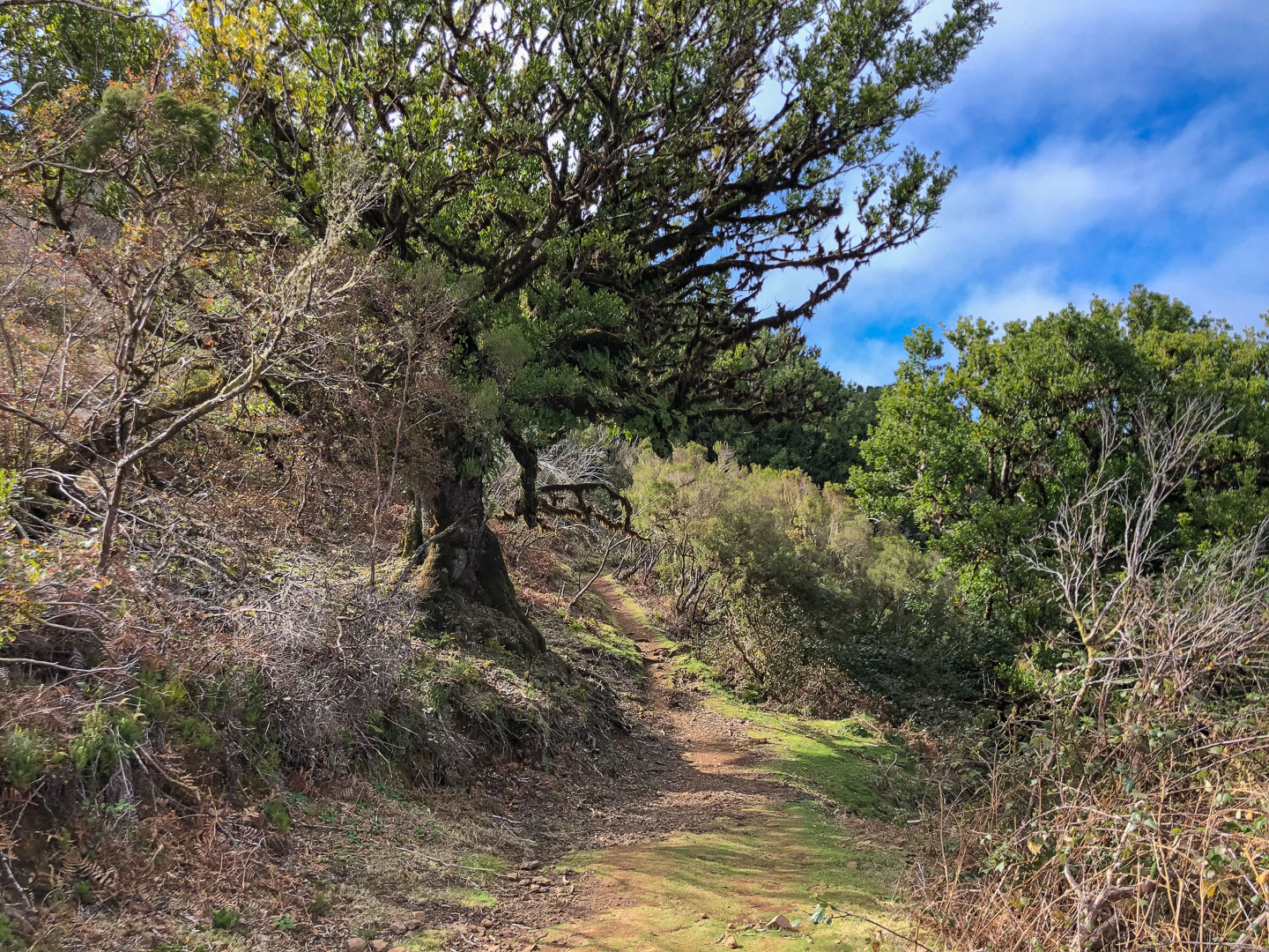 Wandern auf Madeira