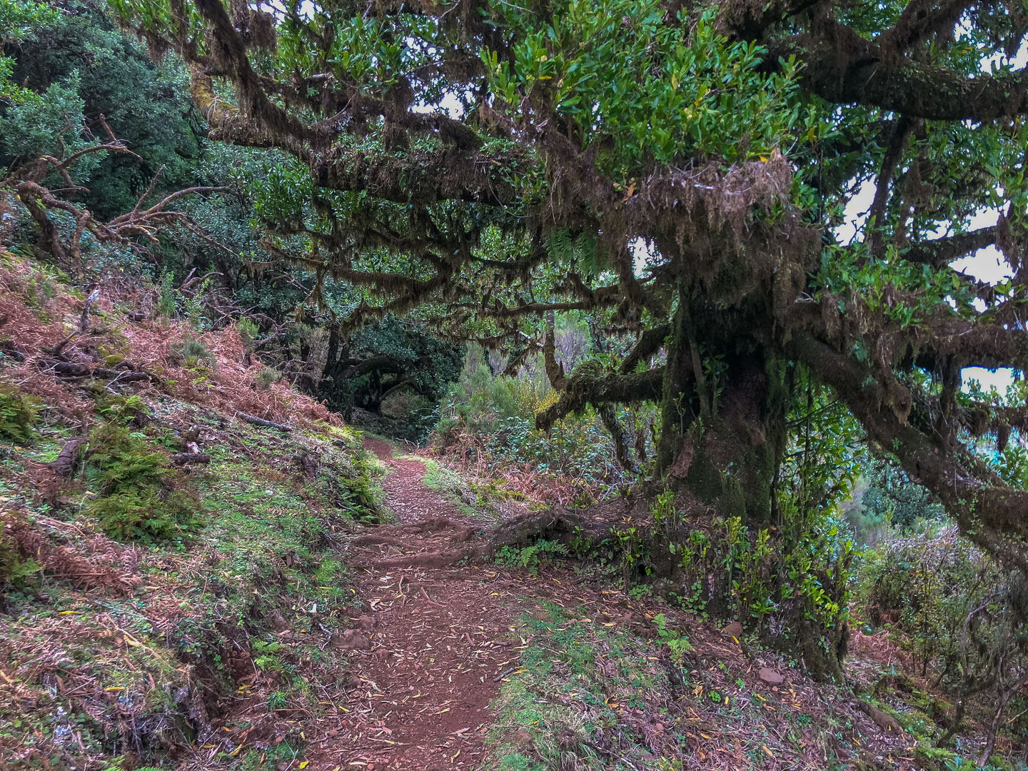 Wandern auf Madeira