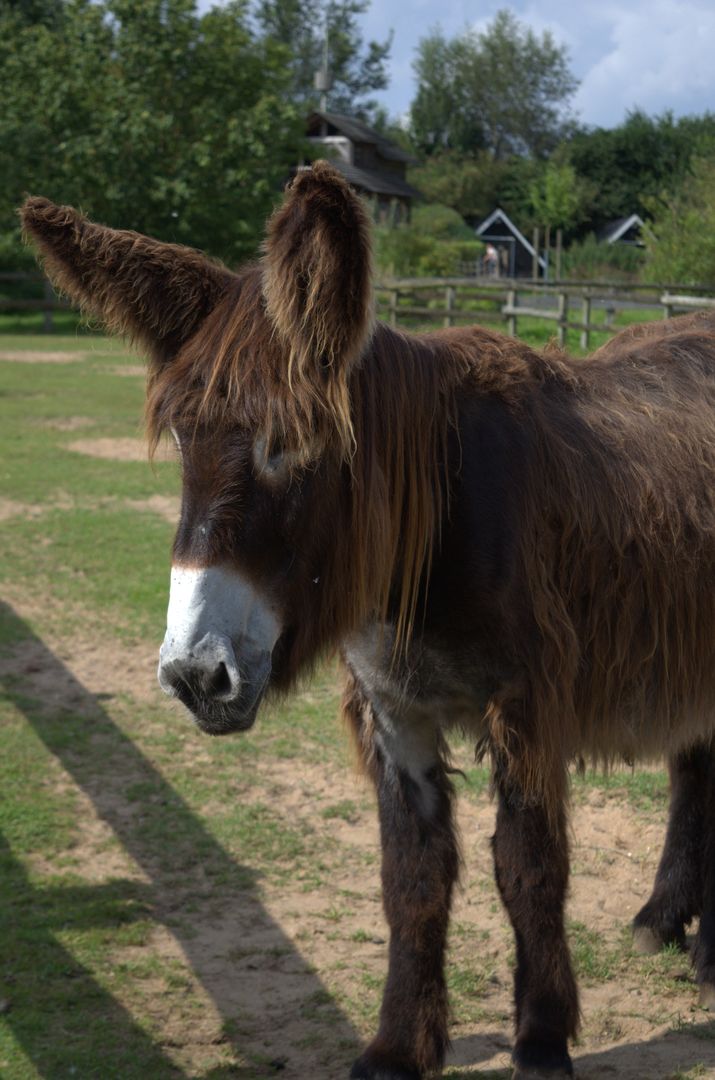 Arche Warder bei Kiel