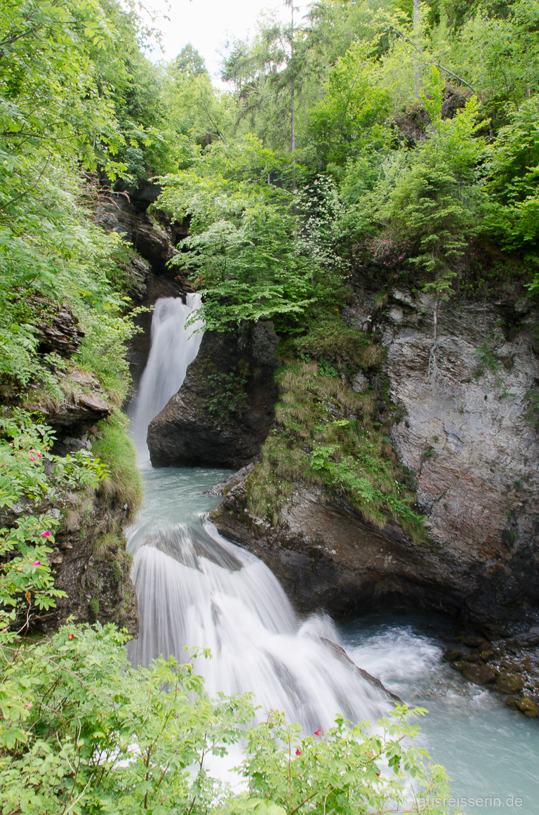 Fremdgelesen North Star Chronicles