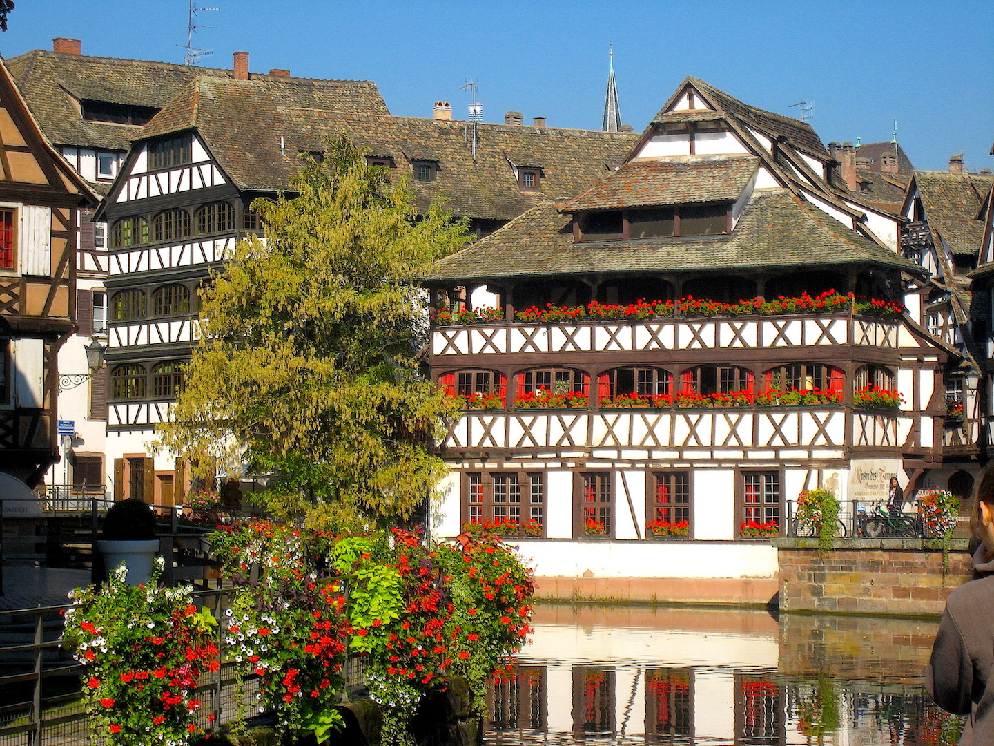 Fremdgelesen Juli North Star Chronicles Reiseblog