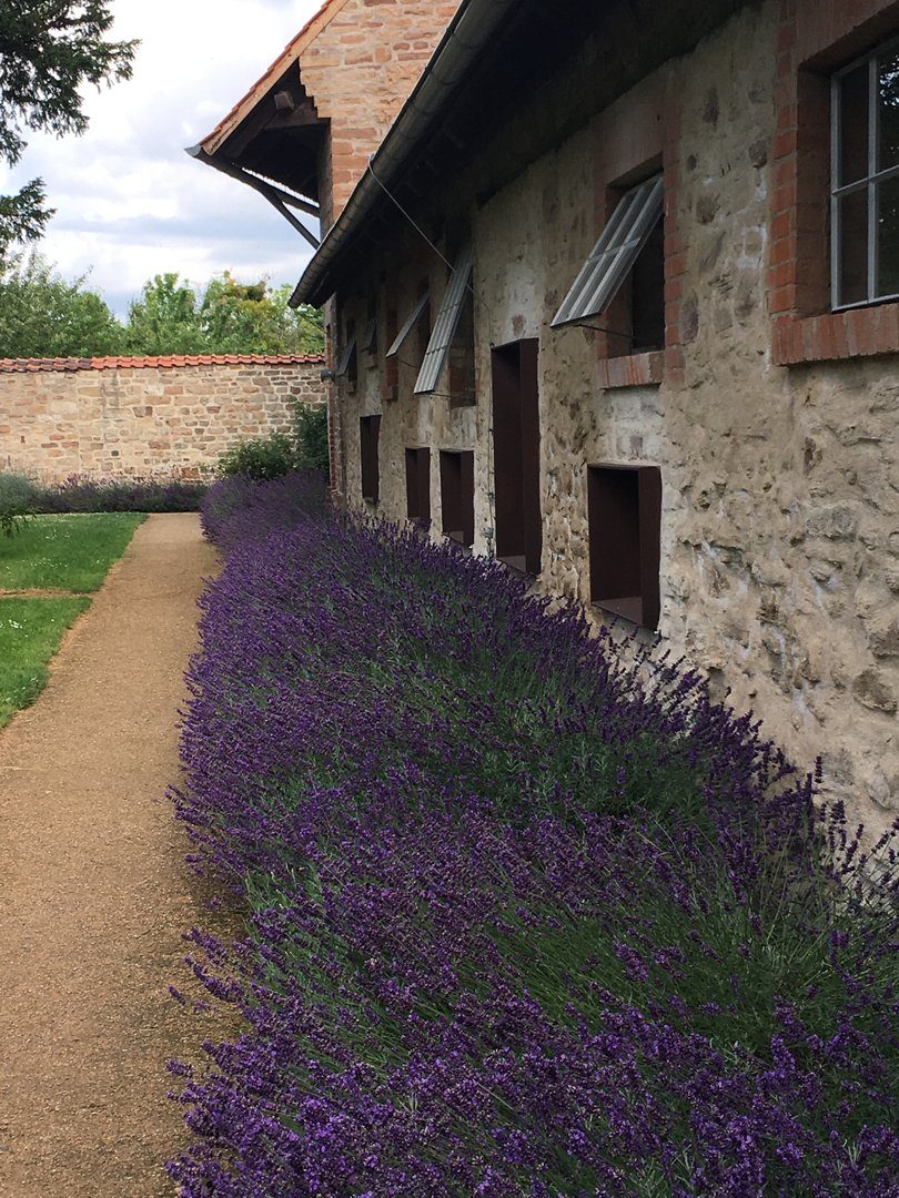 Deutschland-kloster-druebeck