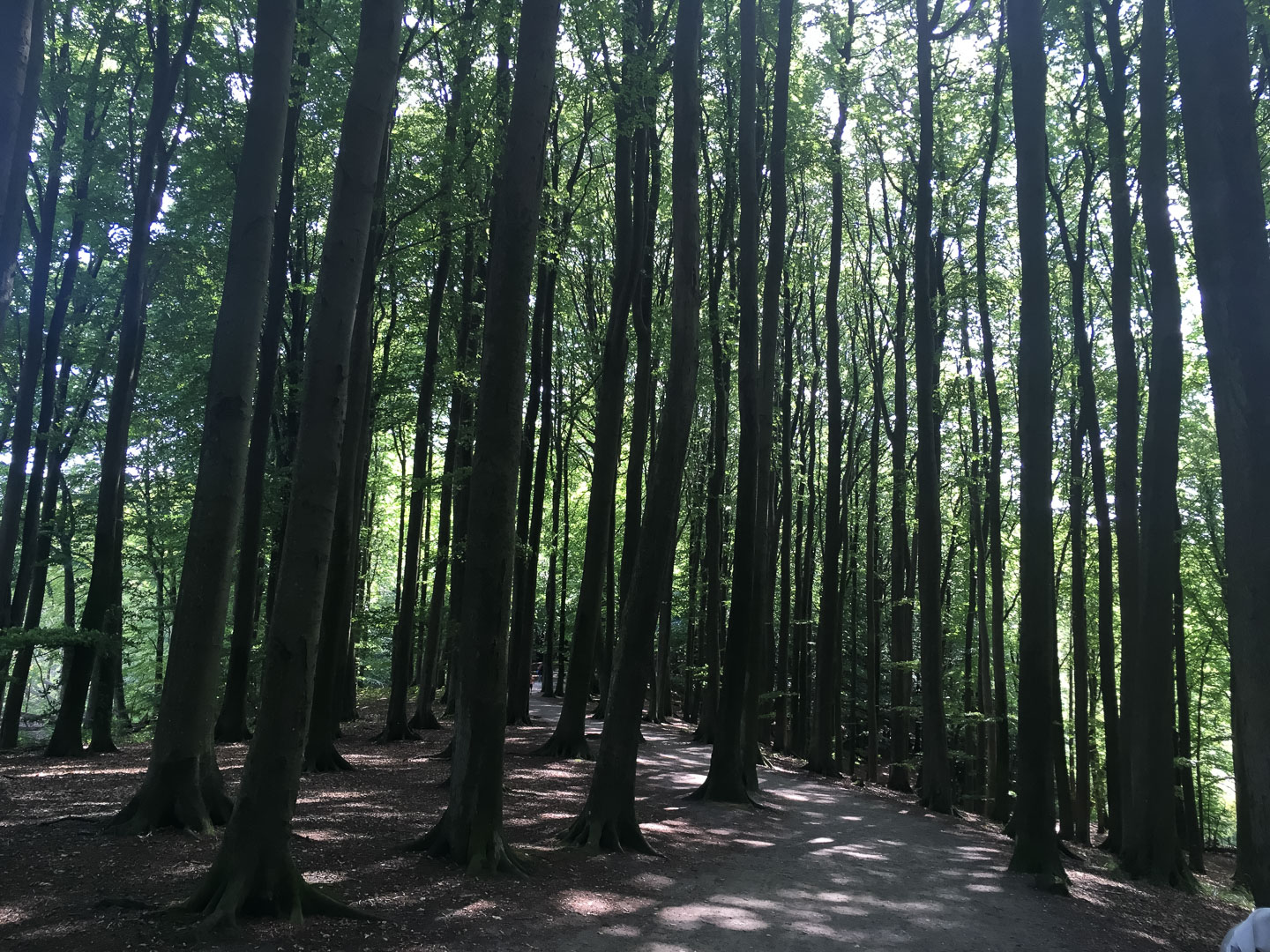 Rügen-mit-Kinderwagen