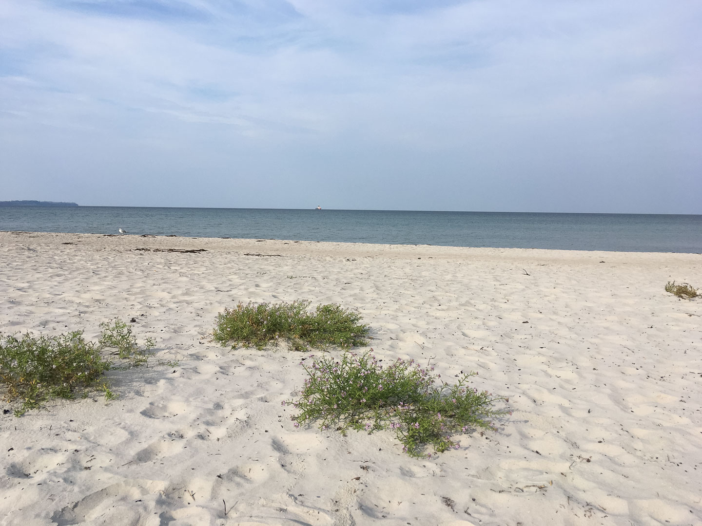 Rügen-mit-Kinderwagen