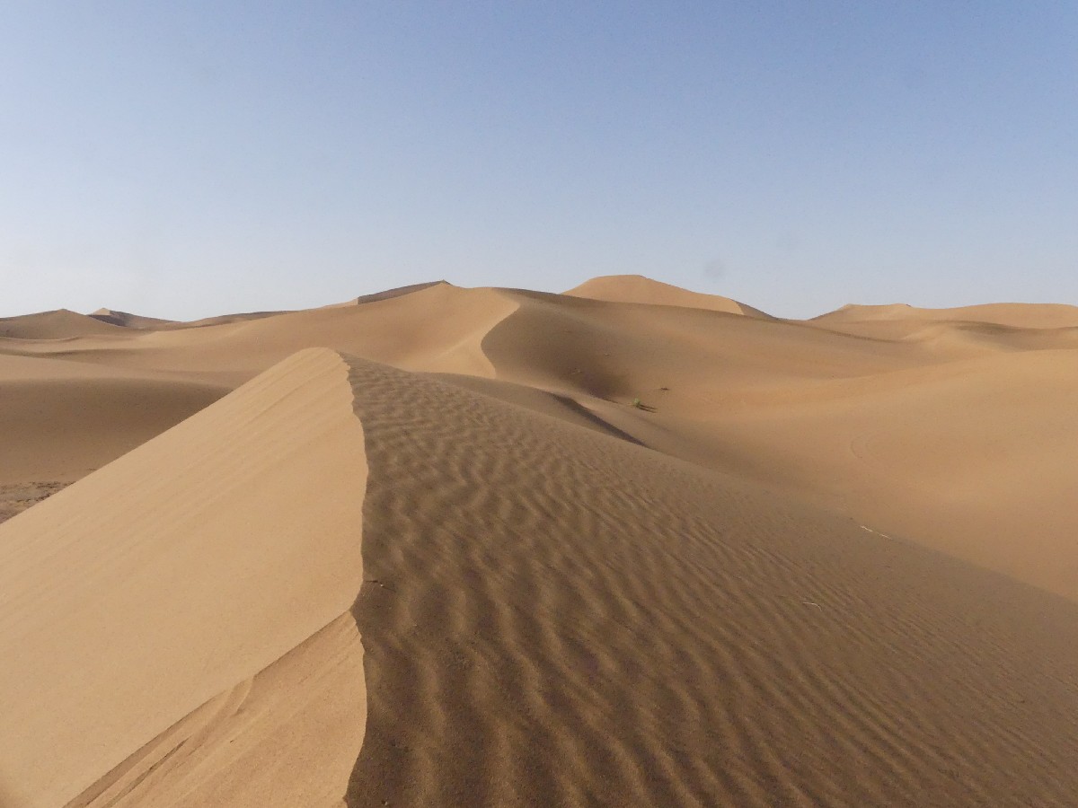 northstarchronicles-fremdgelesen