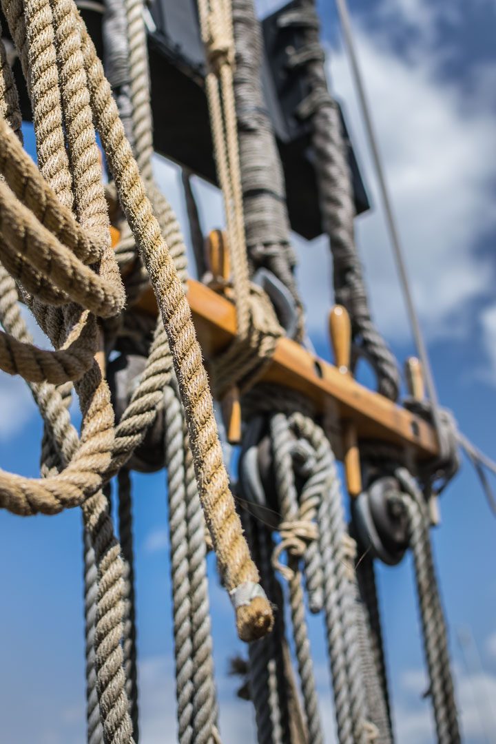 Rigmor-von-Glückstadt