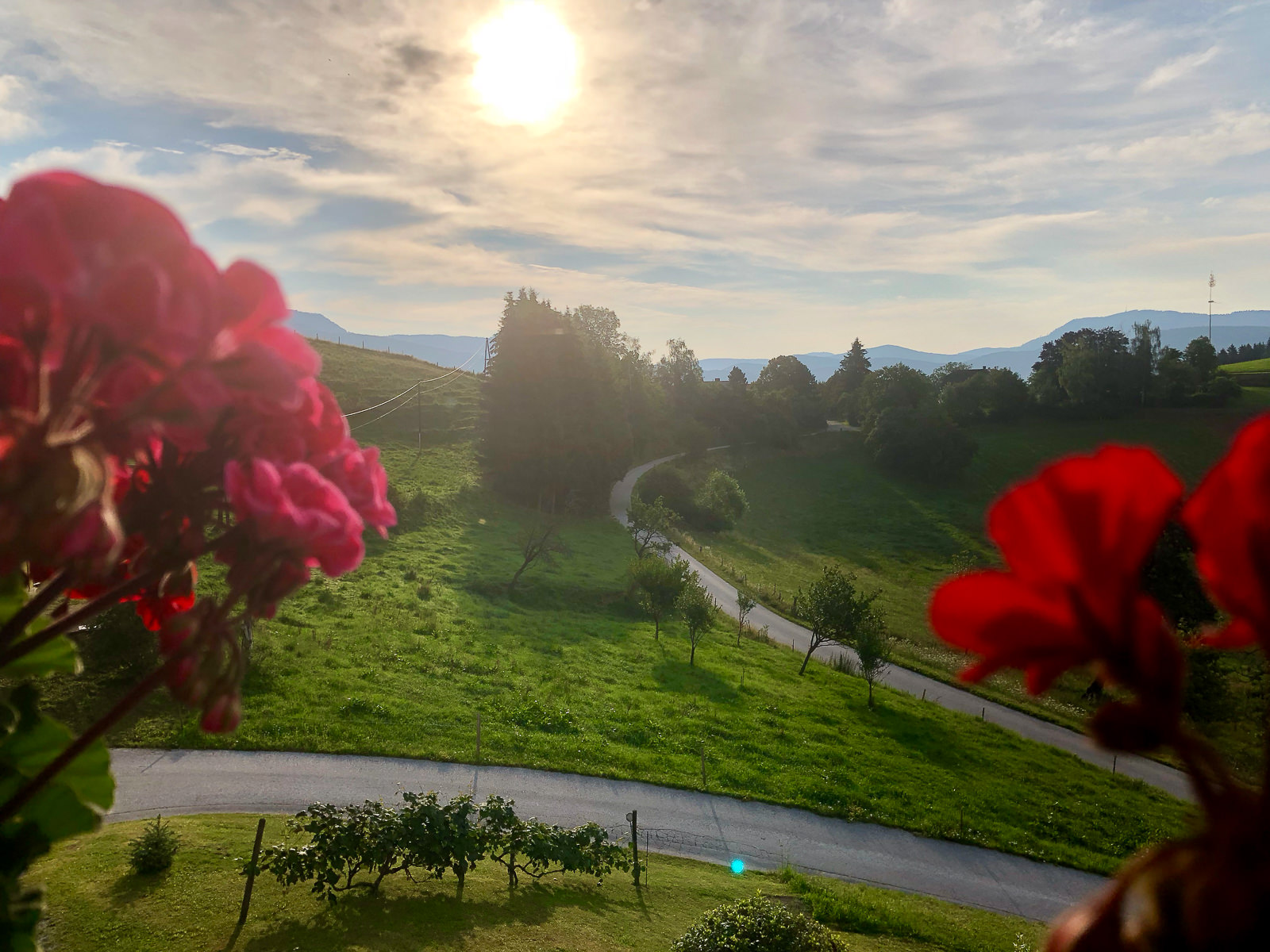 fremdgelesen northstarchronicles