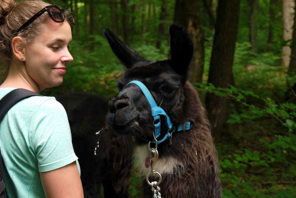 Fremdgelesen northstarchronicles