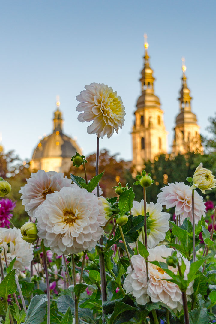 Fulda-im-Herbst