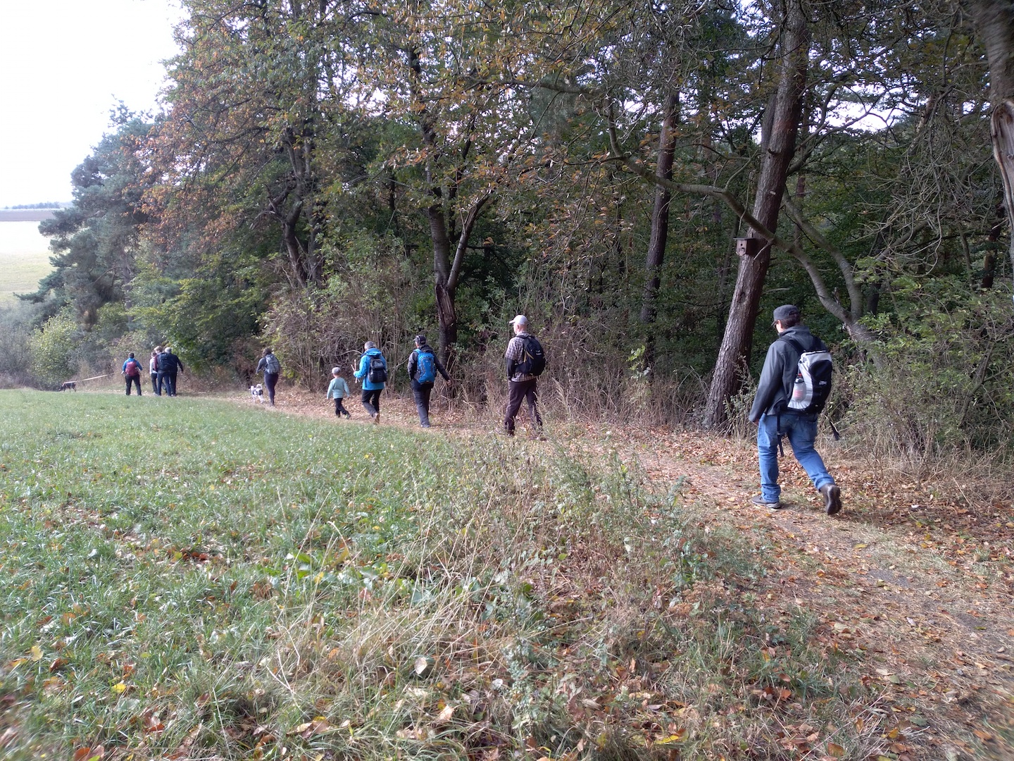 North-Star-Chronicles-Fremdgelesen