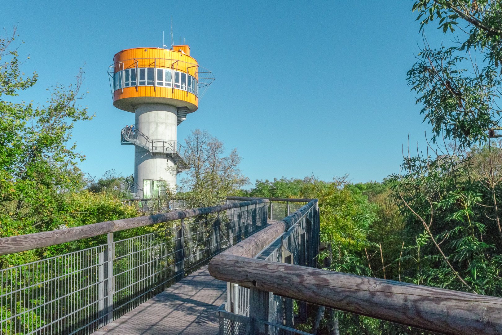 UNESCO-Hainich-Nationalpark