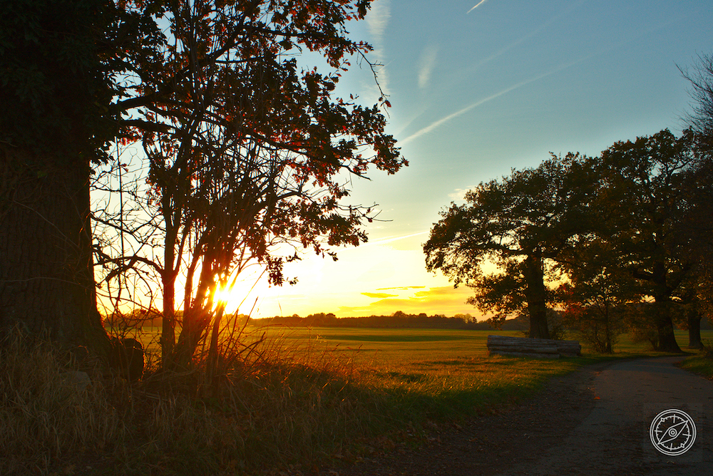 Fremdgelesen Northstarchronicles