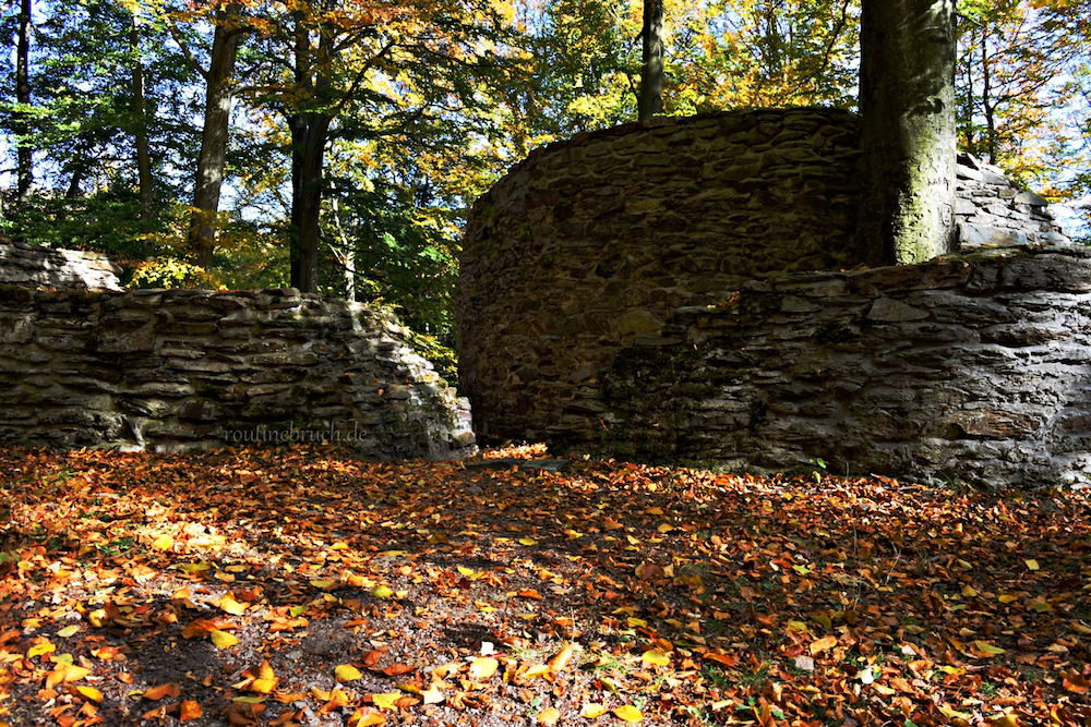 Fremdgelesen Northstarchronicles