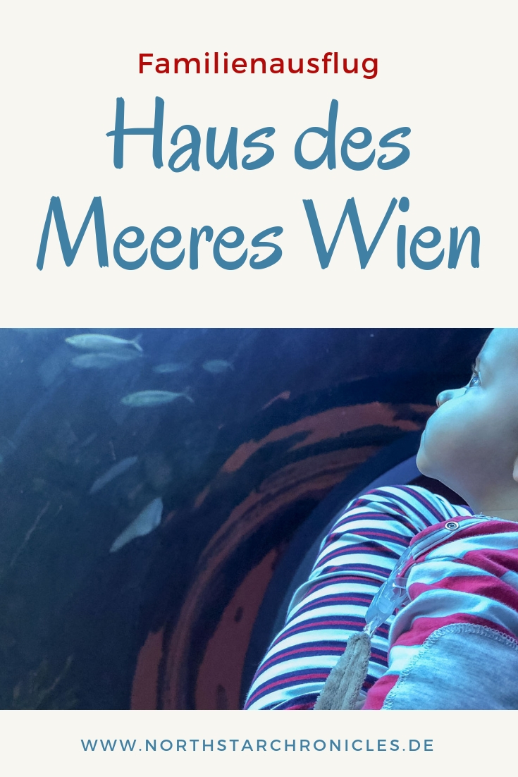 Wien Mit Kind Familienausflug Ins Haus Des Meeres Wien North