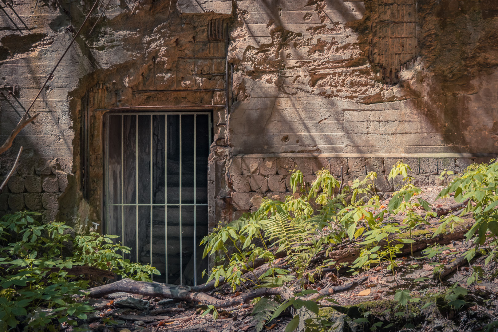 Dynamitfabrik-Kruemmel