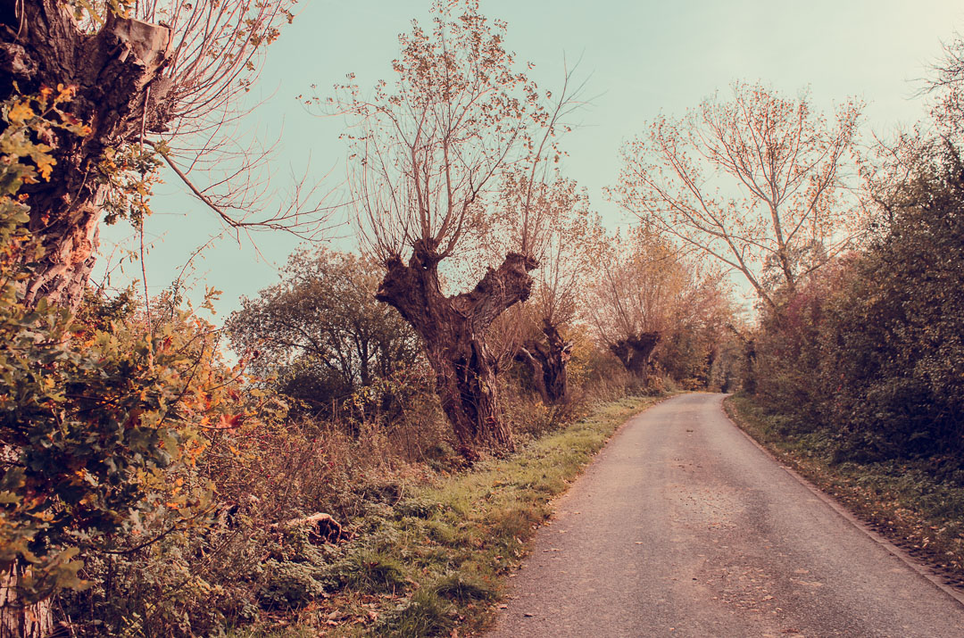 Mecklenburg-Vorpommern-wandern