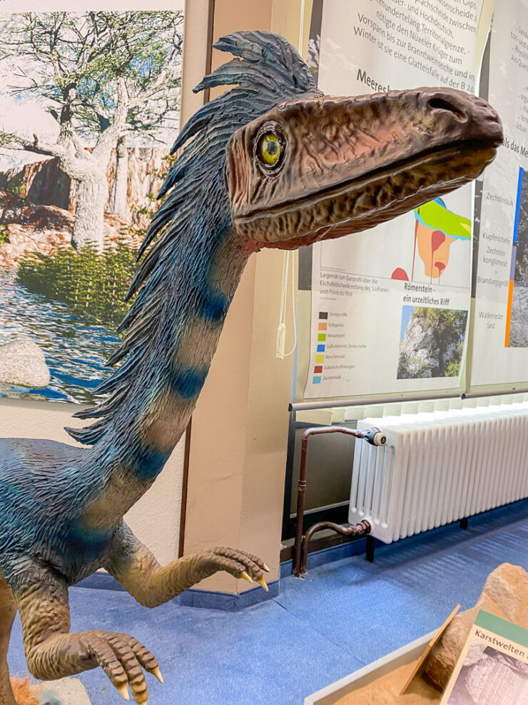 Dinosaurier-Naturzeitmuseum